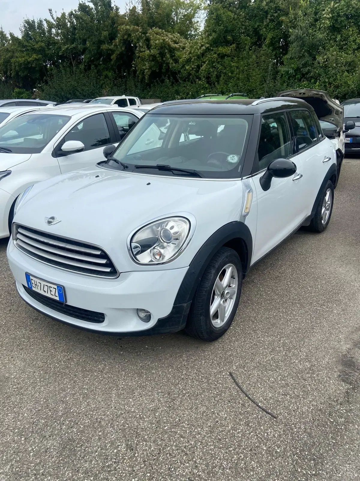 MINI Mini Countryman usata a Piacenza
