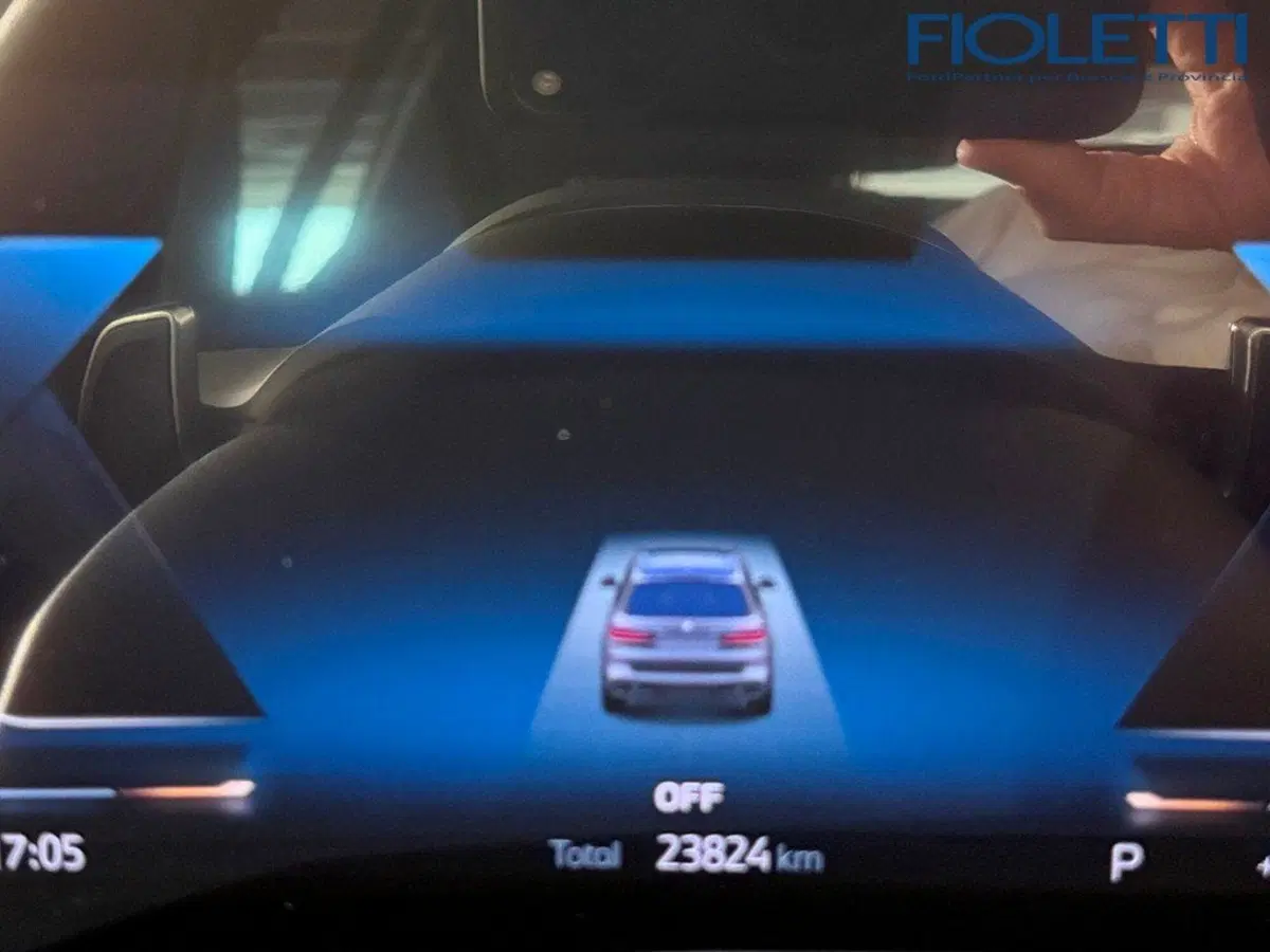 BMW X7 usata a Brescia (8)