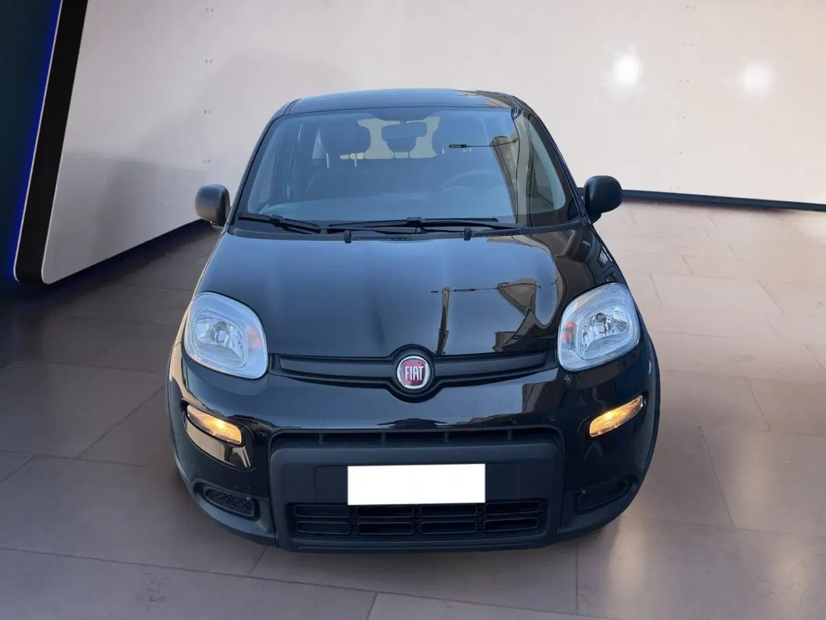Fiat Panda usata a Torino