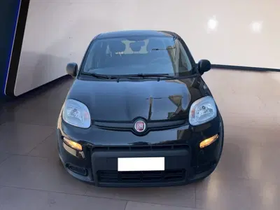 Fiat Panda 1.0 firefly hybrid s&amp;s 70cv 5p.ti del 2024 usata a Torino