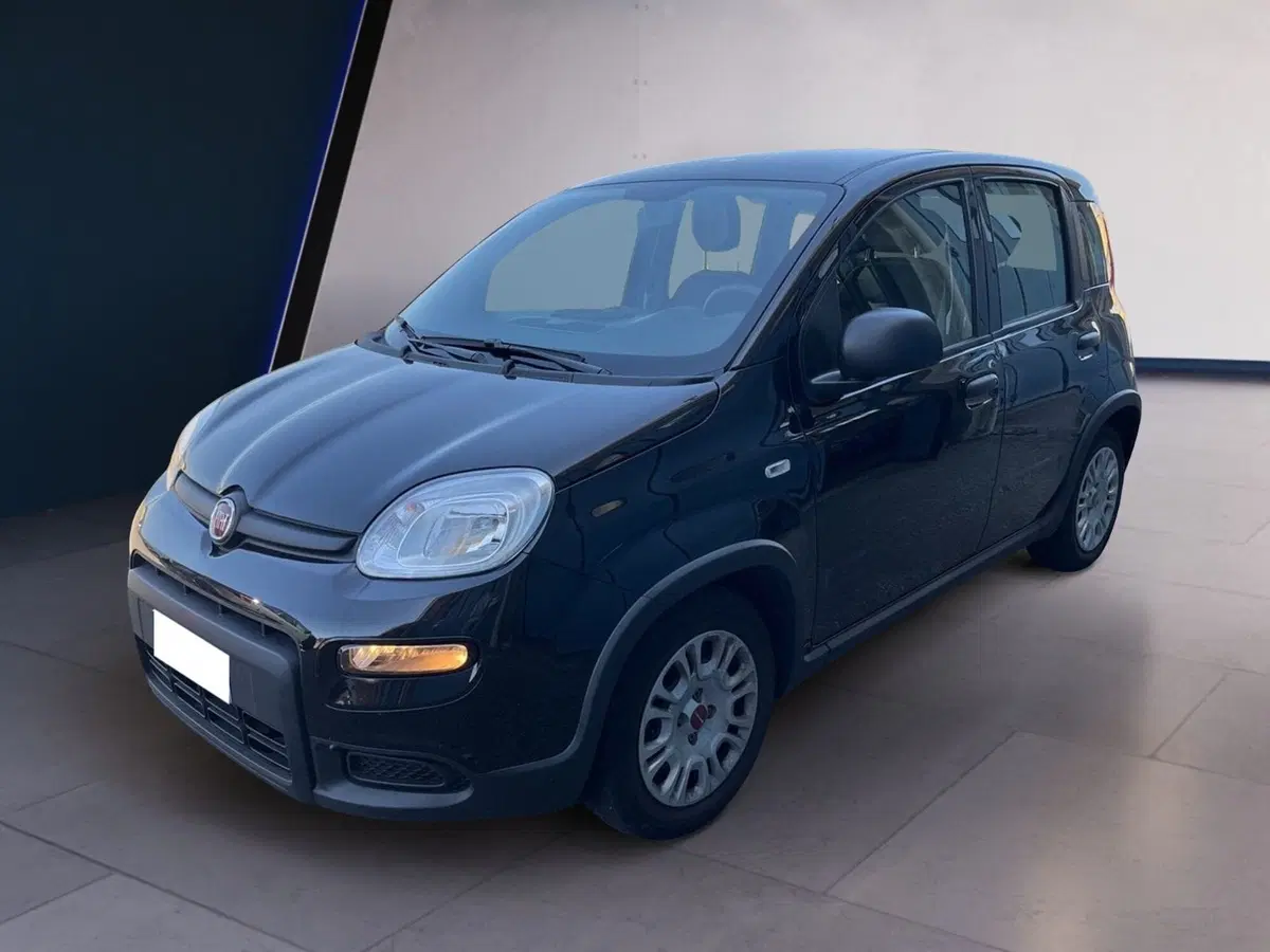 Fiat Panda usata a Torino (2)
