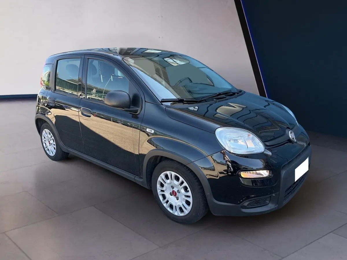 Fiat Panda usata a Torino (3)