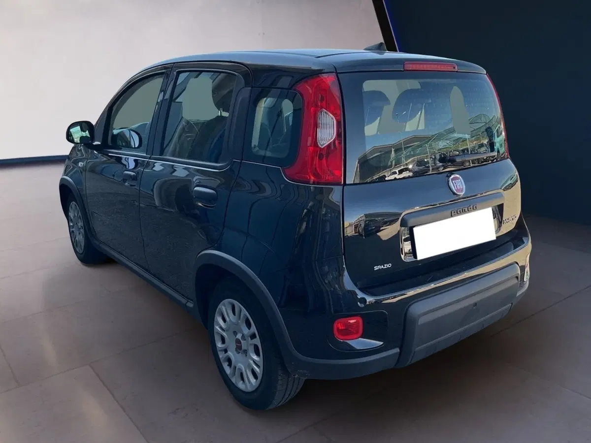 Fiat Panda usata a Torino (6)