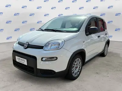 Fiat Panda Cross Cross 1.0 FireFly S&amp;S Hybrid del 2022 usata a Prato