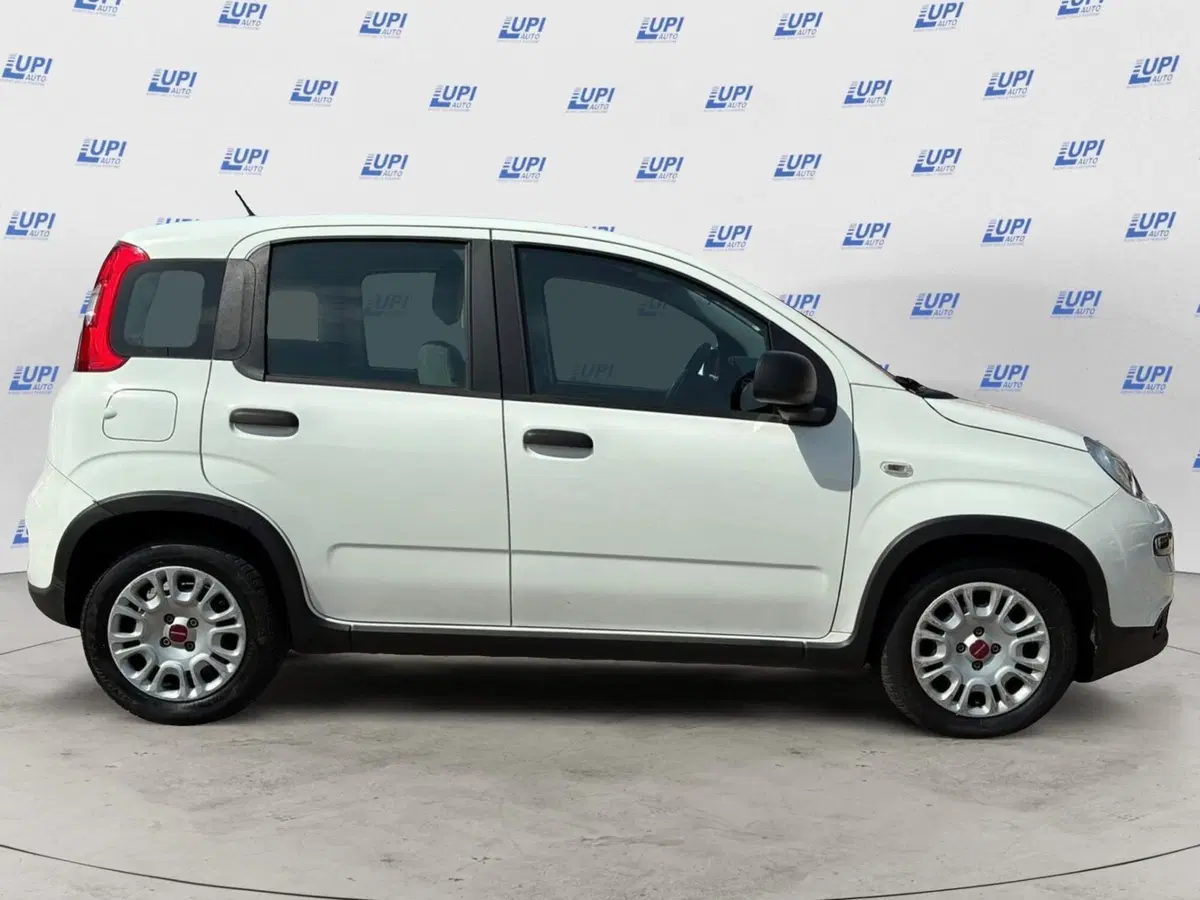 Fiat Panda Cross usata a Prato (3)