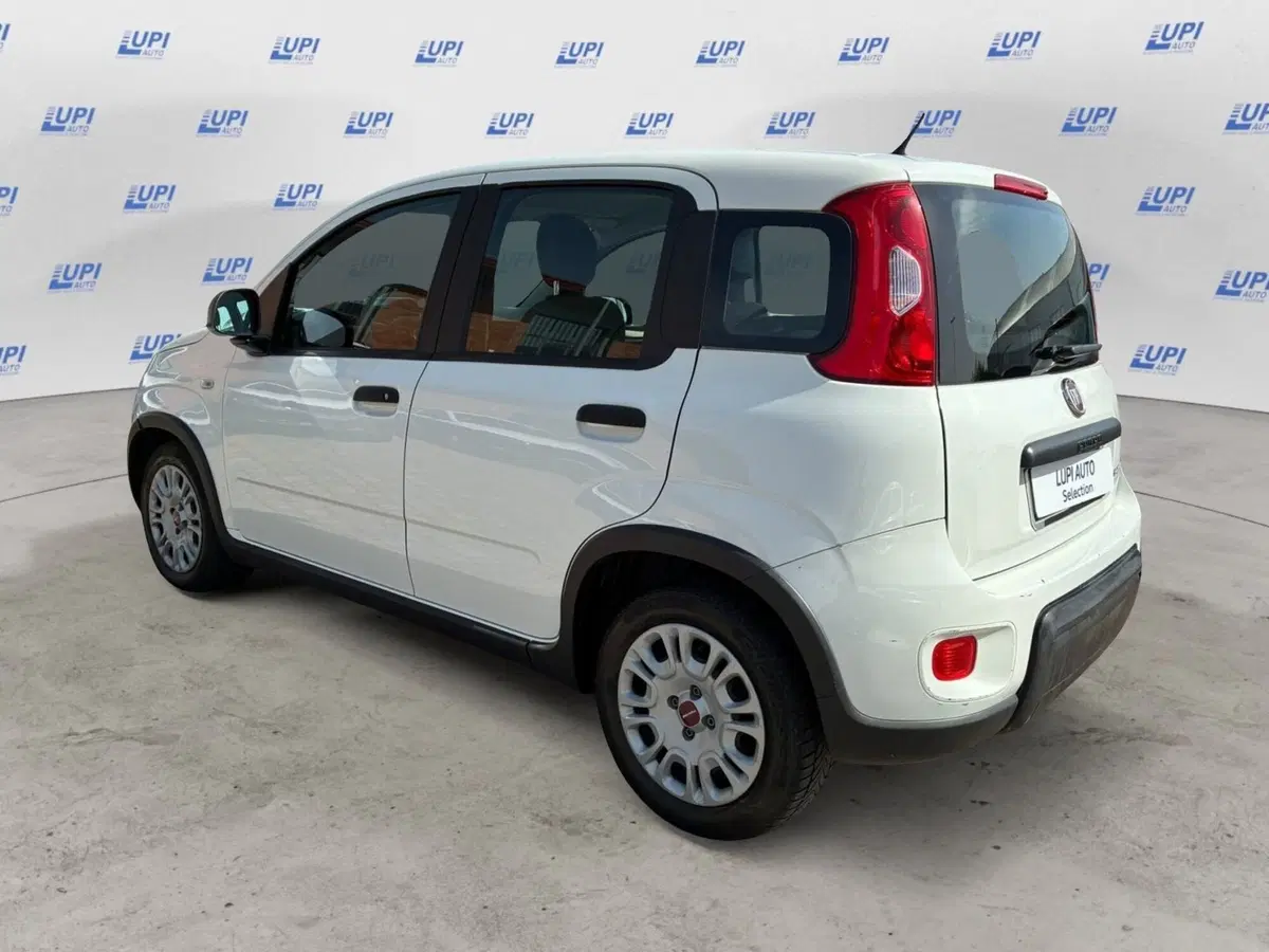 Fiat Panda Cross usata a Prato (4)