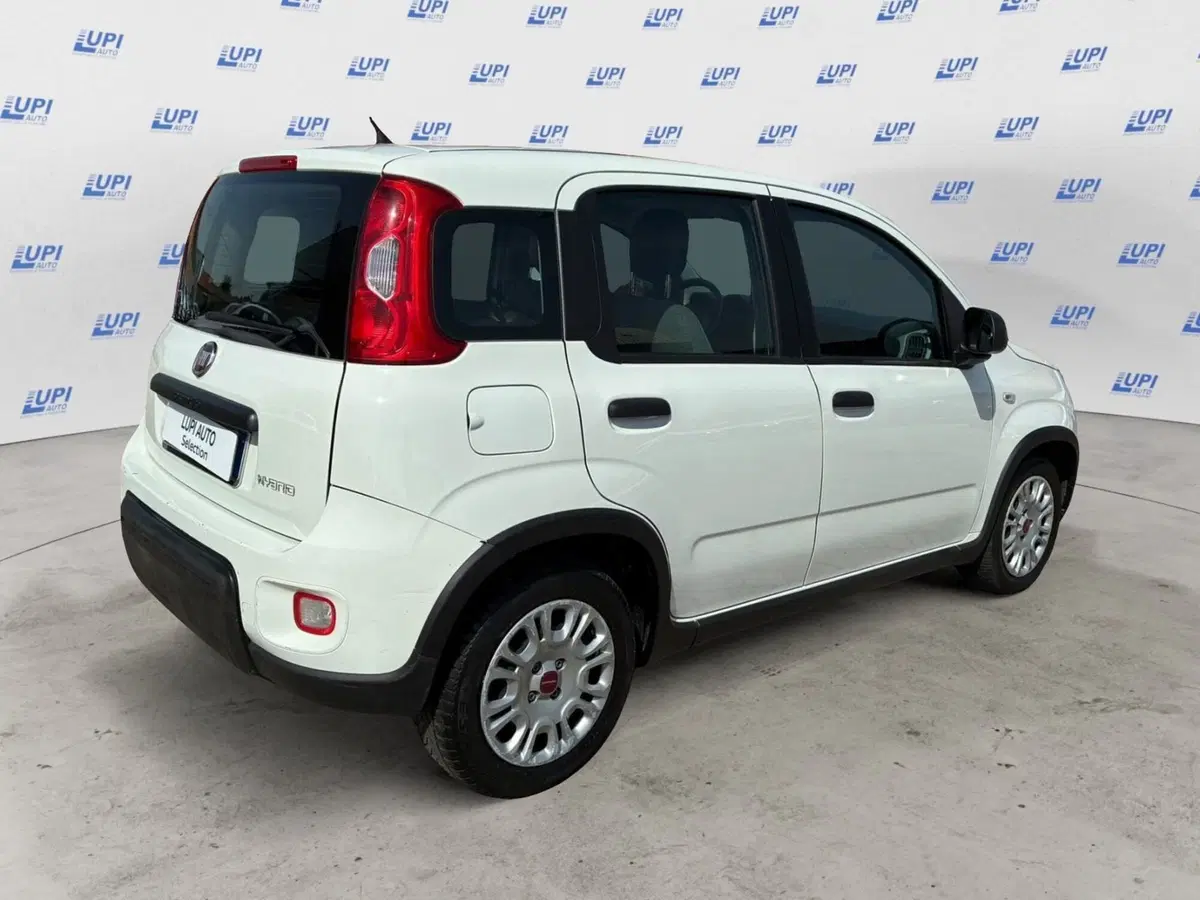 Fiat Panda Cross usata a Prato (5)