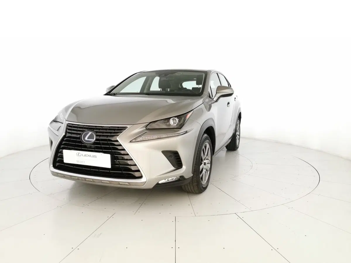 Lexus NX usata a Chieti