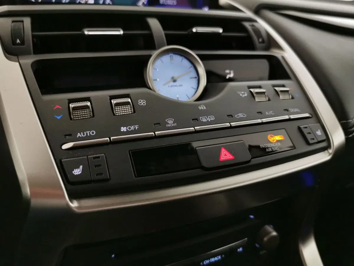 Lexus NX usata a Chieti (11)