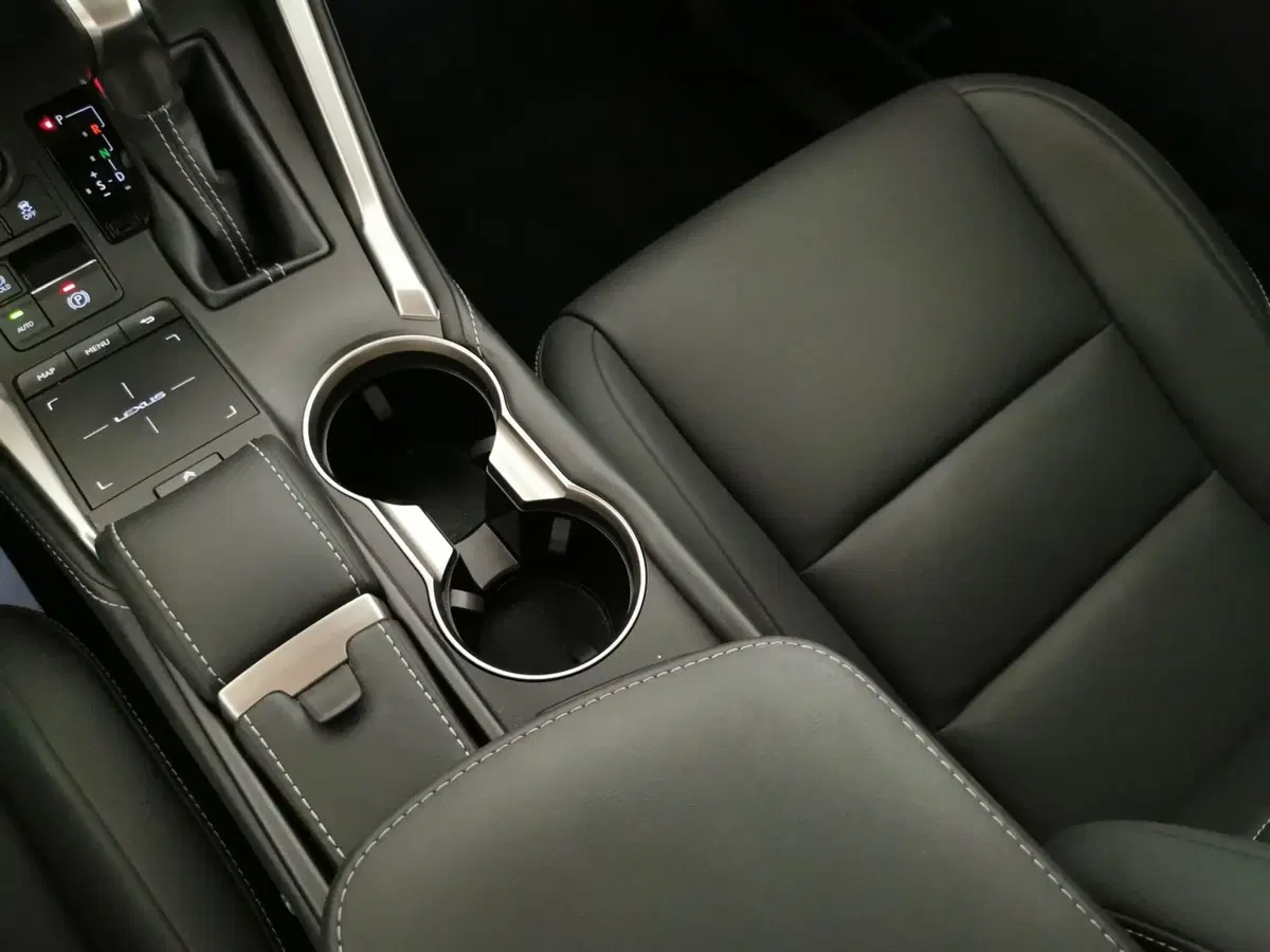 Lexus NX usata a Chieti (13)