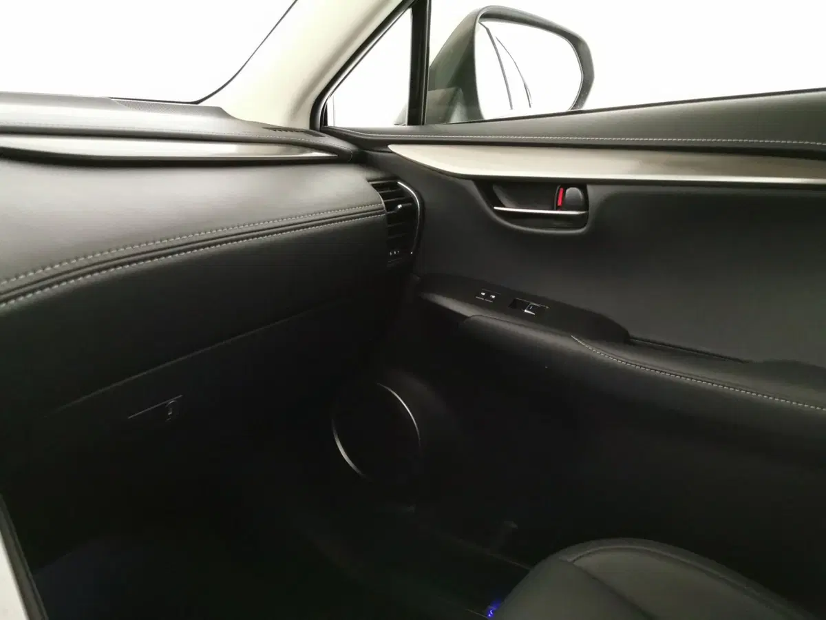 Lexus NX usata a Chieti (16)