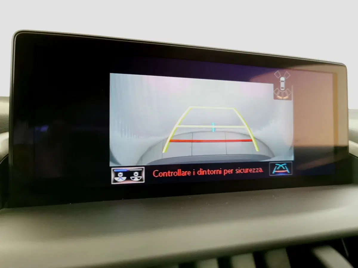 Lexus NX usata a Chieti (19)