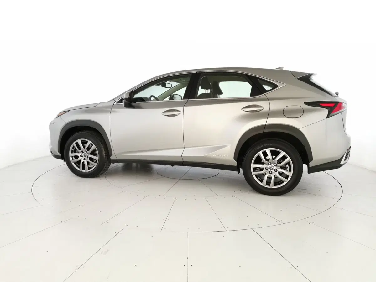 Lexus NX usata a Chieti (2)