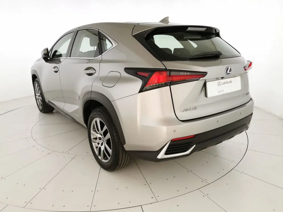 Lexus NX usata a Chieti (20)