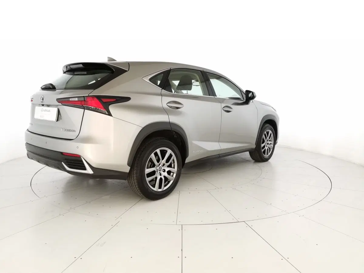 Lexus NX usata a Chieti (3)
