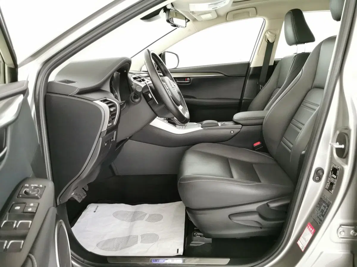 Lexus NX usata a Chieti (5)