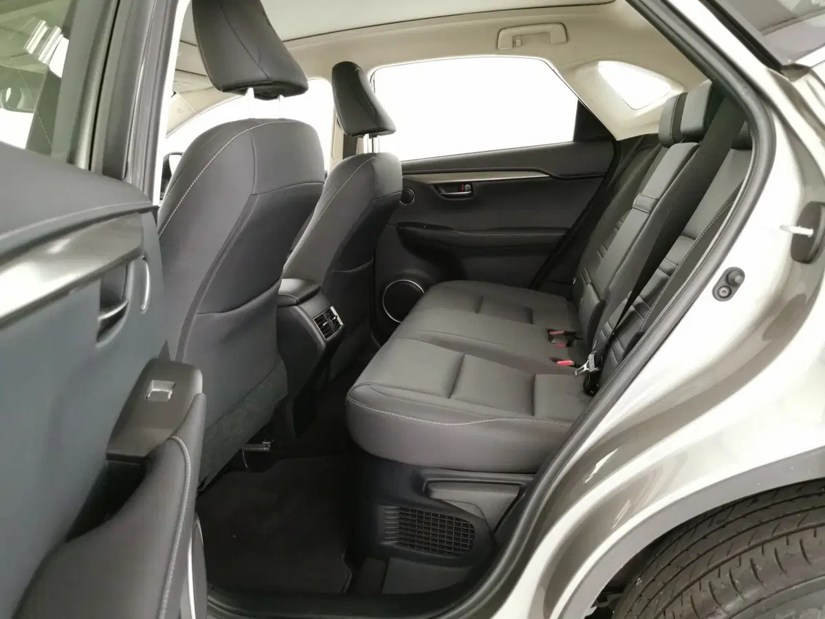 Lexus NX usata a Chieti (6)