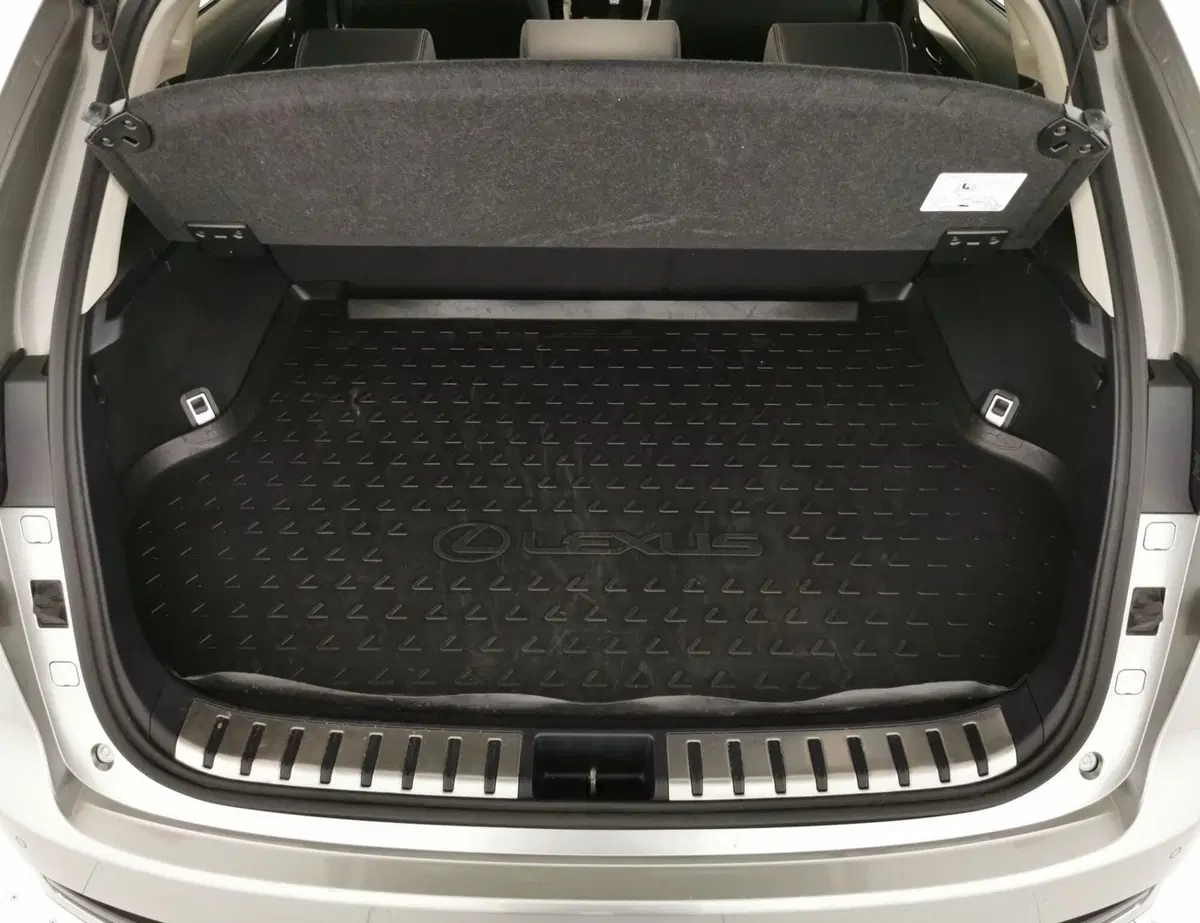 Lexus NX usata a Chieti (7)