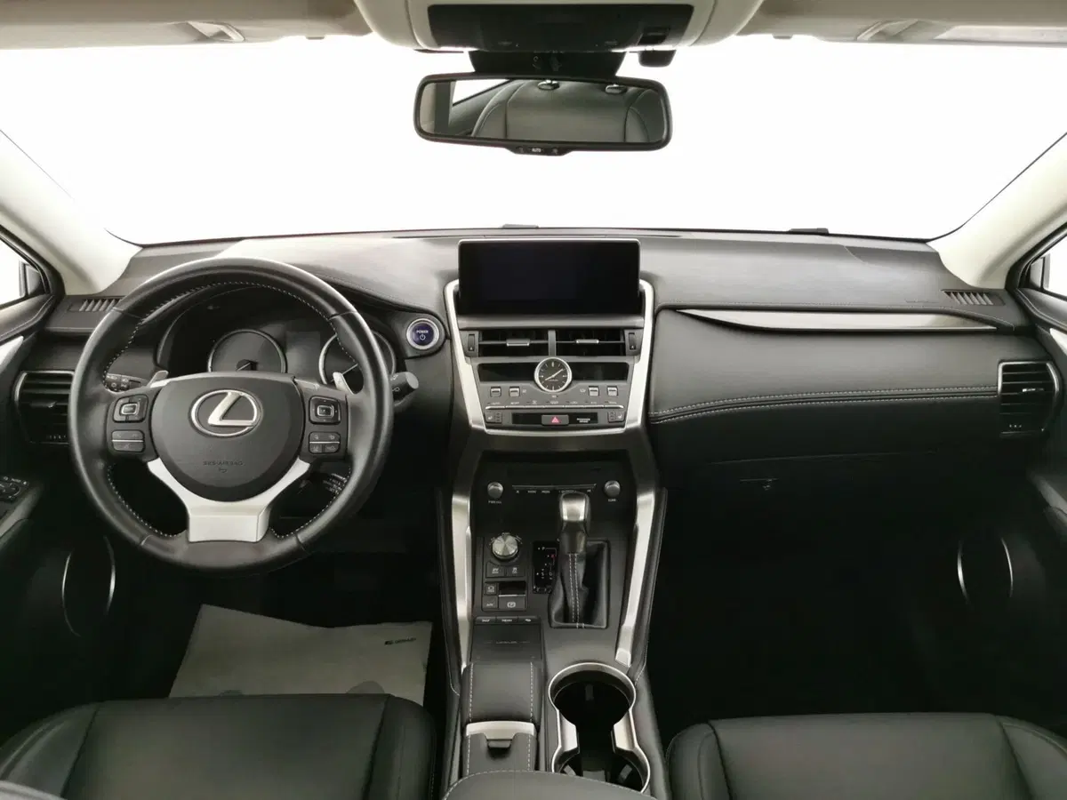 Lexus NX usata a Chieti (8)