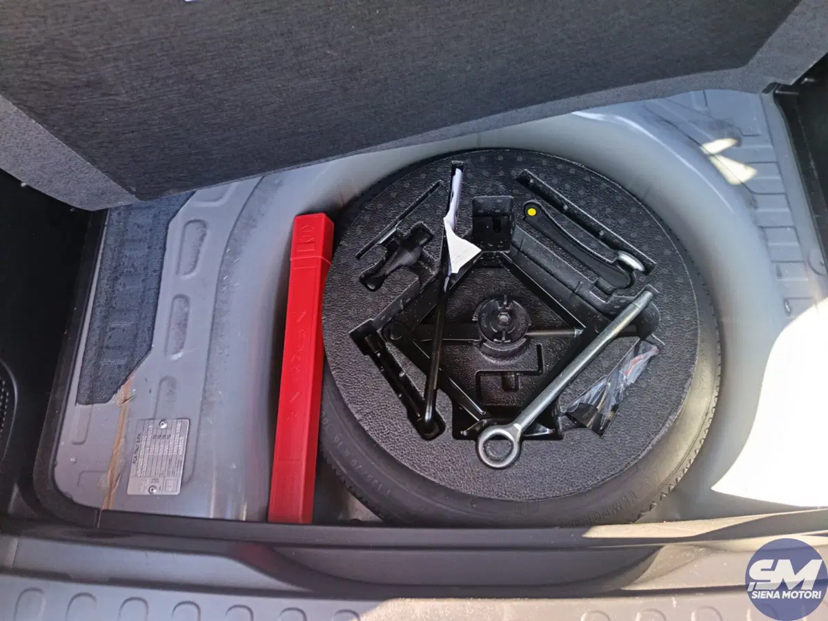 Fiat 500L usata a Siena (20)