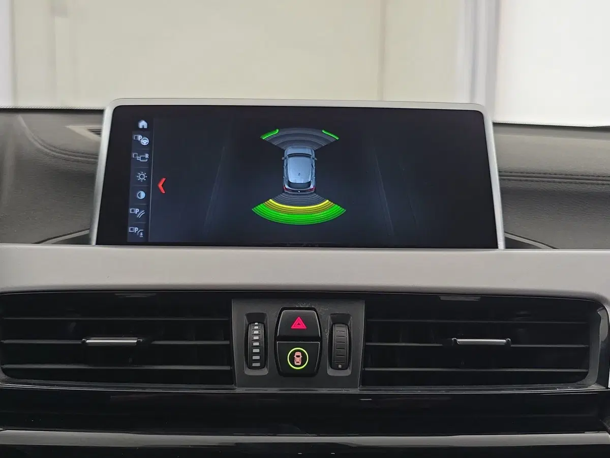 BMW X2 usata a Alessandria (14)