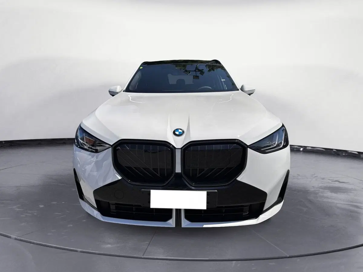 BMW X3 nuova a Cuneo (3)