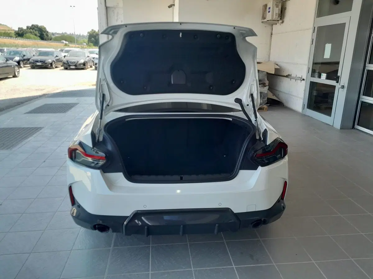 BMW Serie 2 Coupé usata a Asti (12)