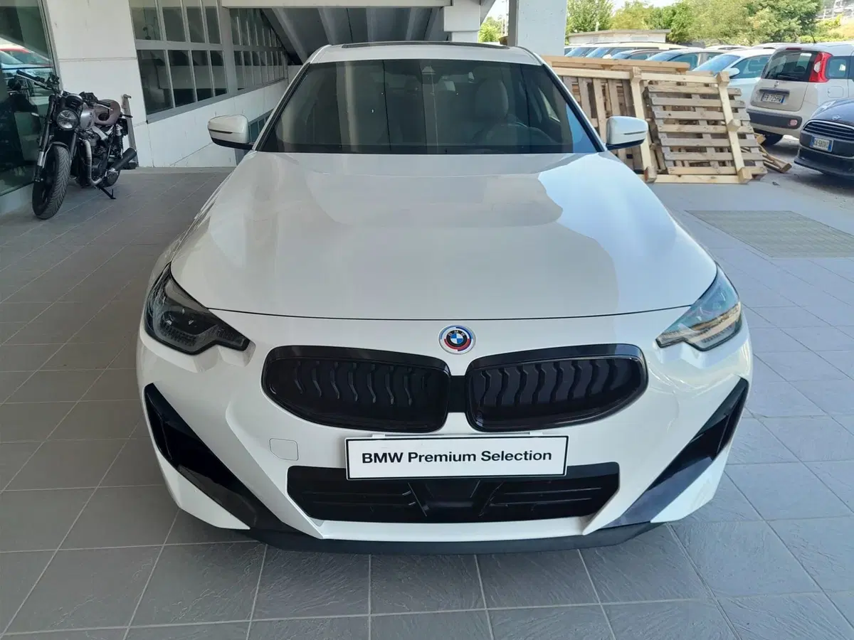 BMW Serie 2 Coupé usata a Asti (3)