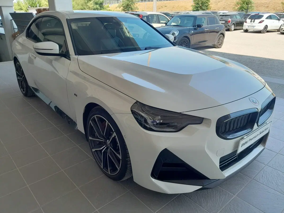 BMW Serie 2 Coupé usata a Asti (4)