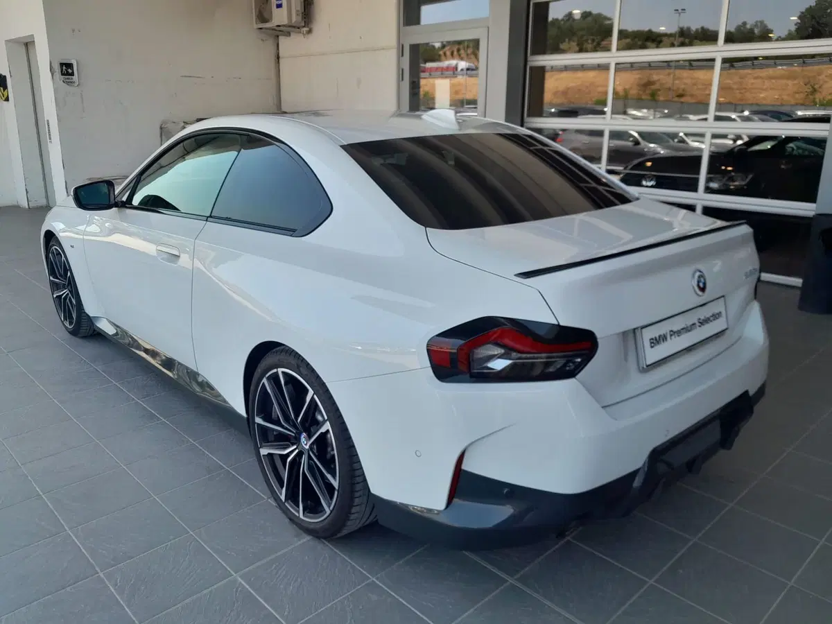 BMW Serie 2 Coupé usata a Asti (7)