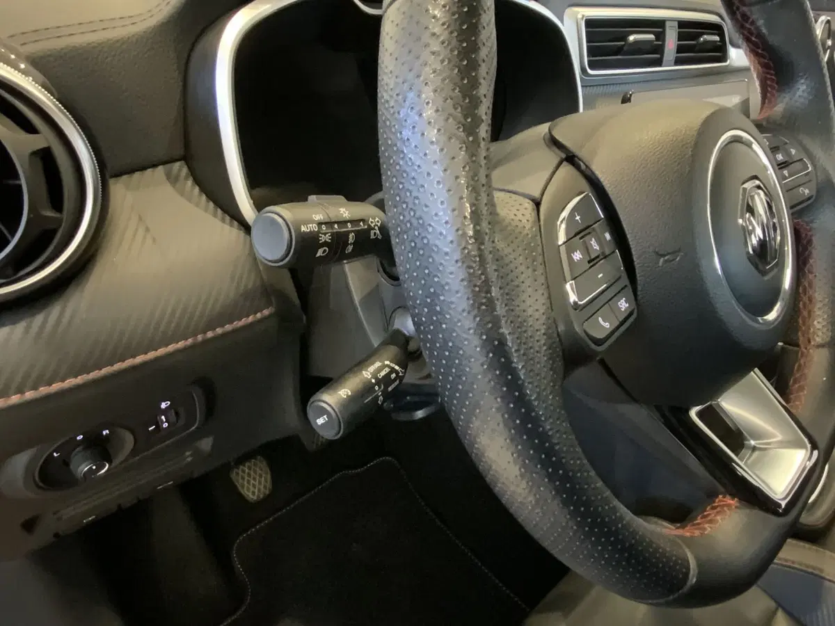 Mg ZS (2021-->) usata a Vercelli (14)