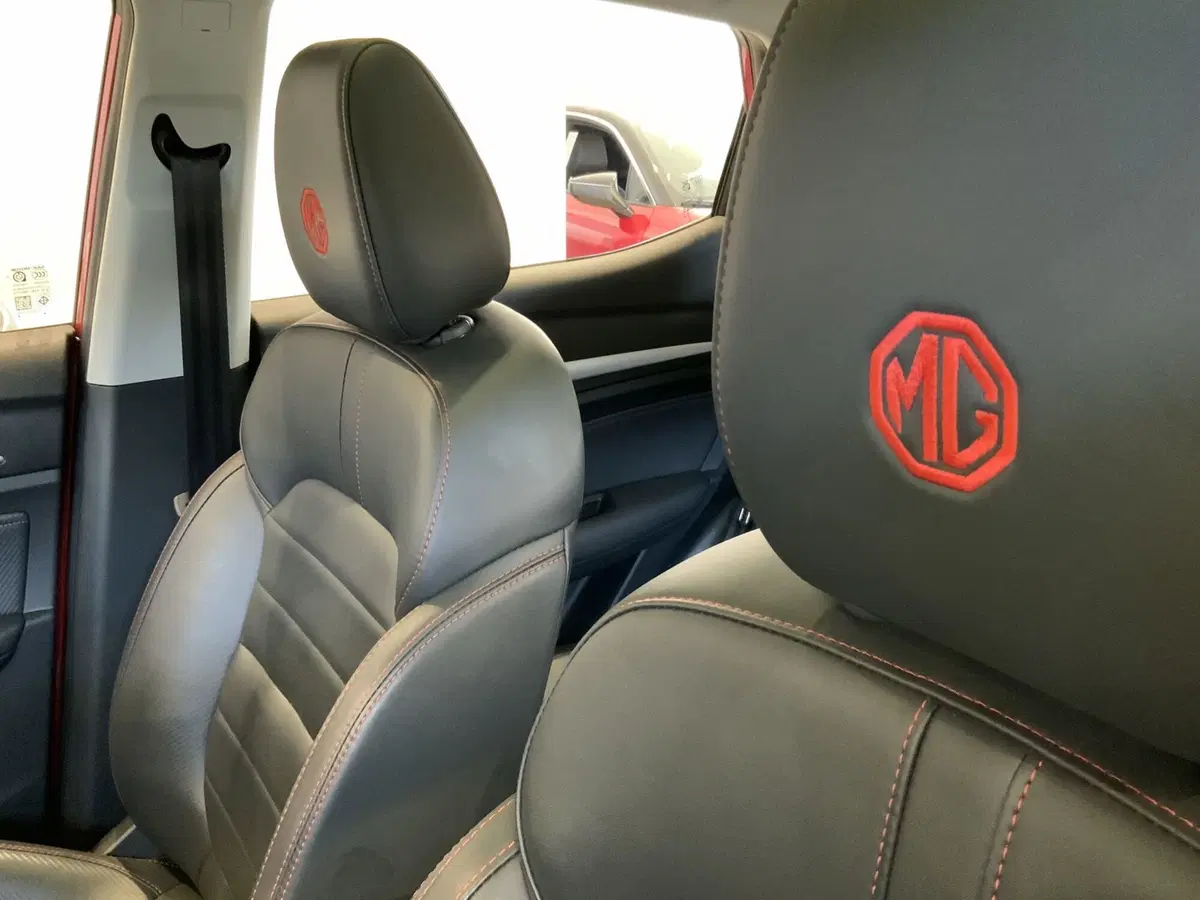 Mg ZS (2021-->) usata a Vercelli (8)