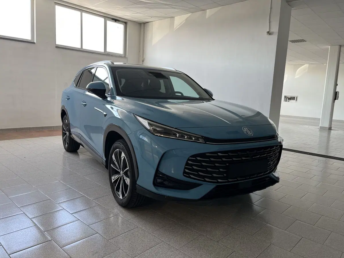 Mg HS usata a Vercelli