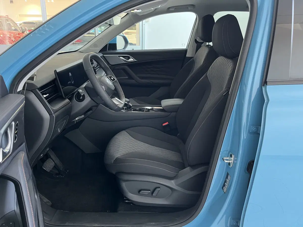 Mg HS usata a Vercelli (6)