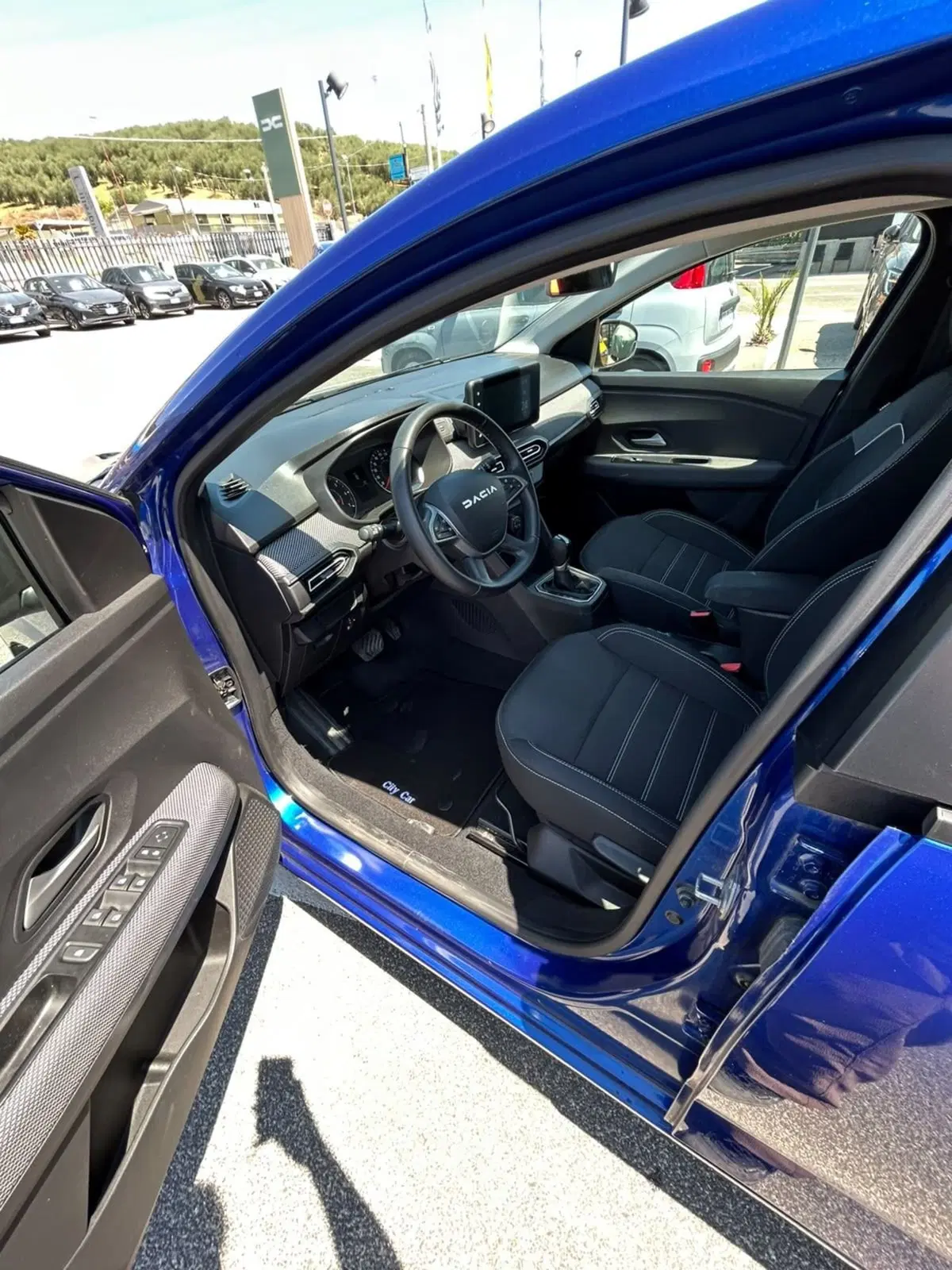 Dacia Sandero usata a Roma (7)