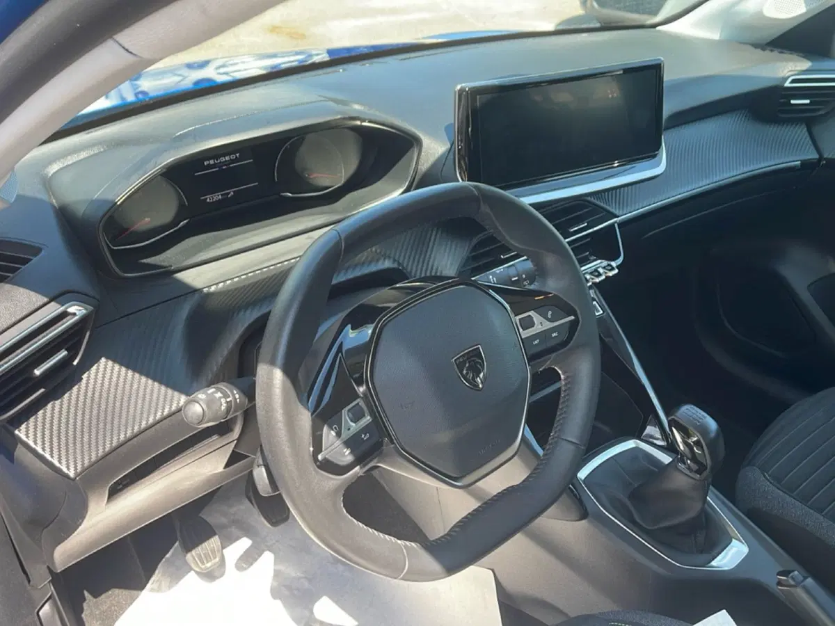 Peugeot 208 usata a Frosinone (11)