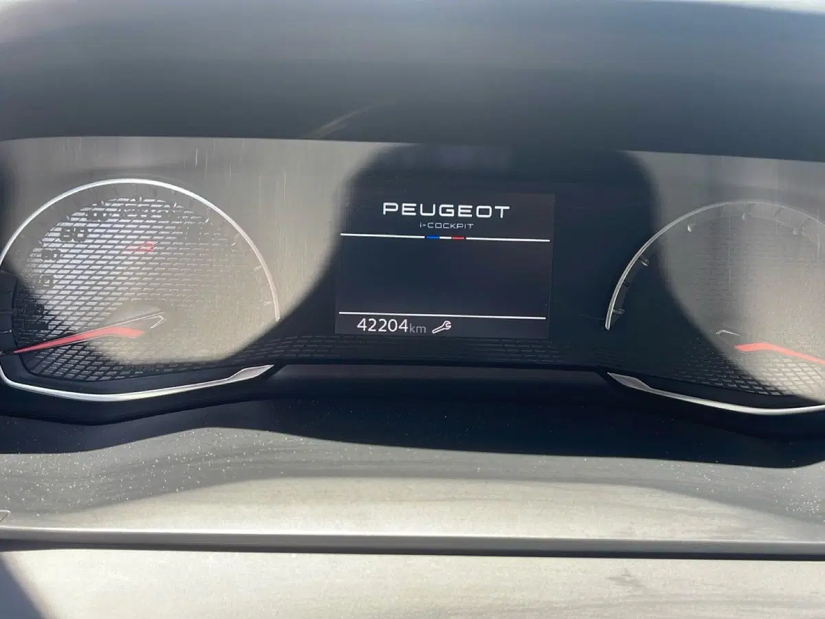 Peugeot 208 usata a Frosinone (12)