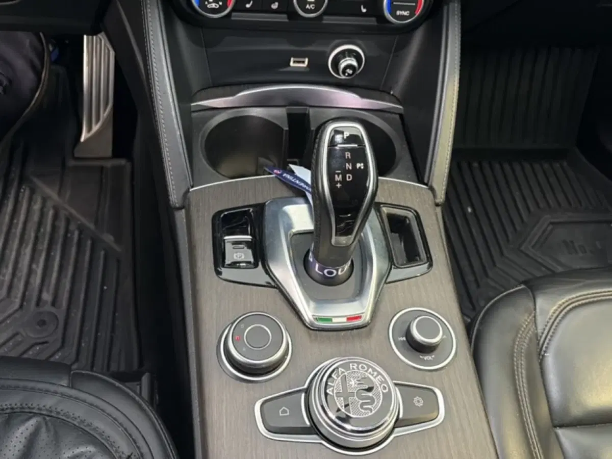 Alfa Romeo Stelvio usata a Foggia (18)