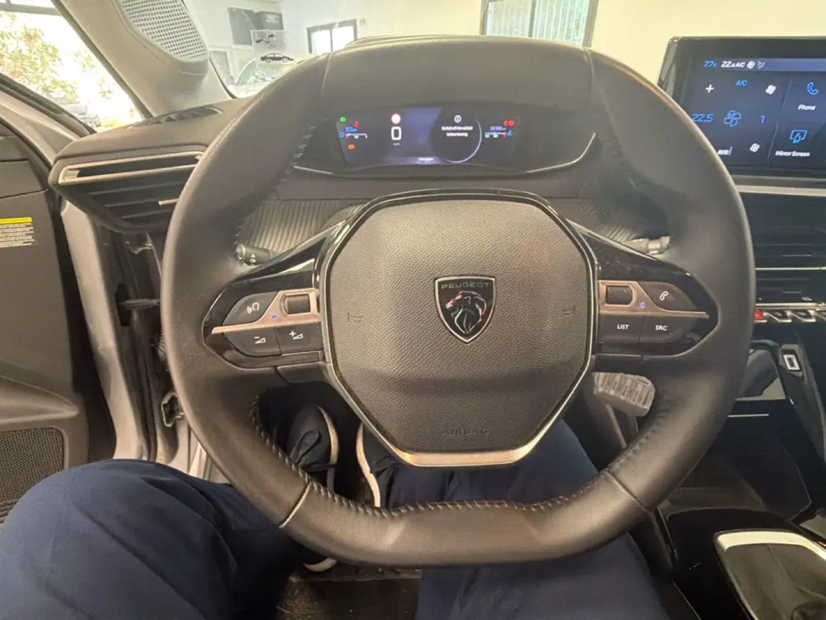 Peugeot 208 usata a Palermo (14)