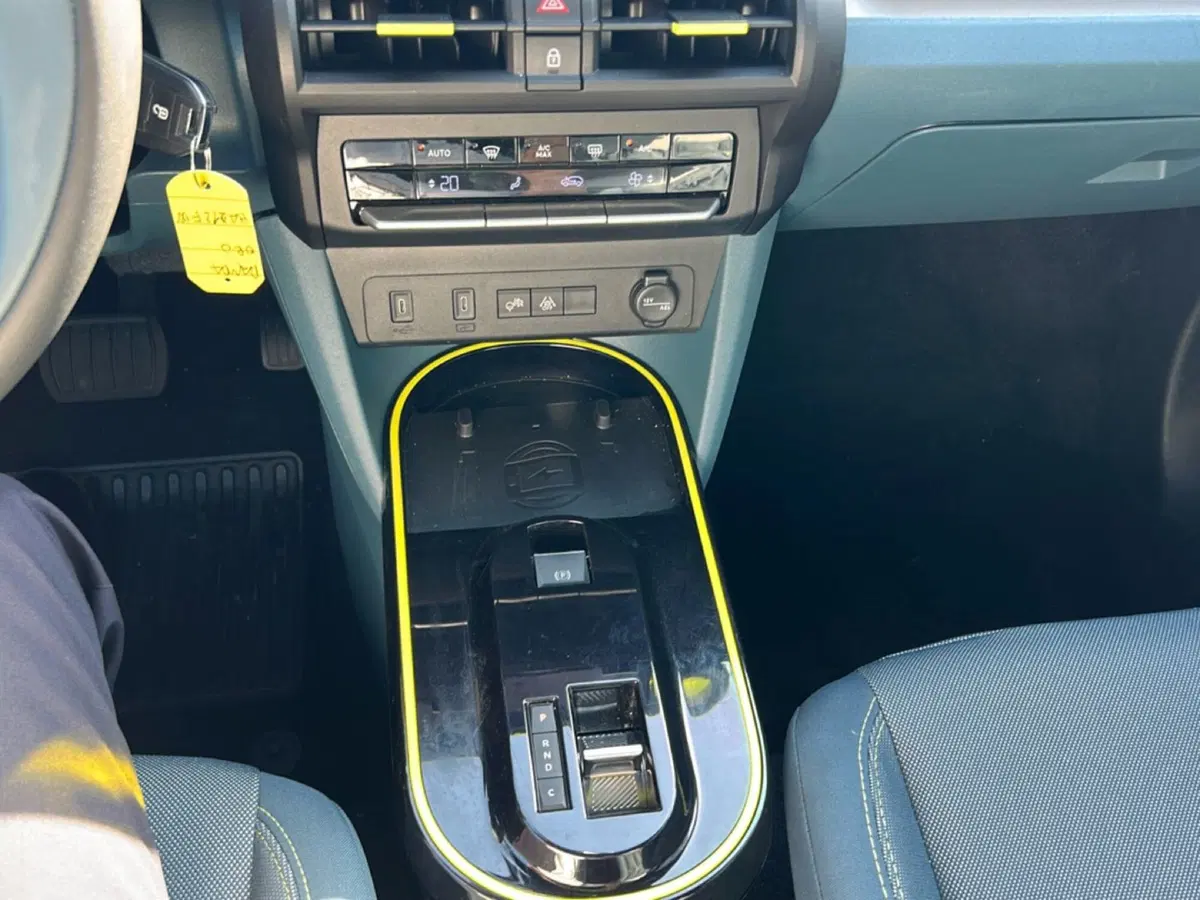 Fiat Grande Panda usata a Bergamo (14)
