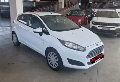 Ford Fiesta 1.5 TDCi 75CV 5 porte Titanium del 2013 usata a Orvieto