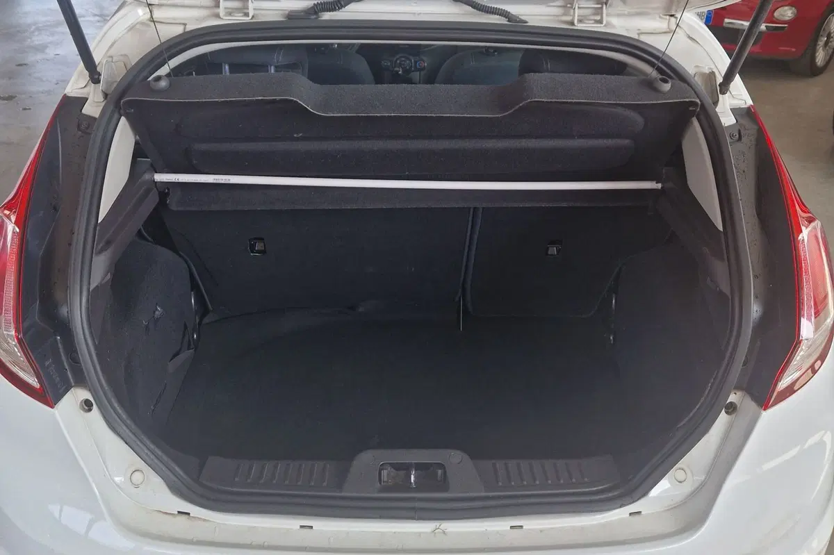 Ford Fiesta usata a Terni (11)