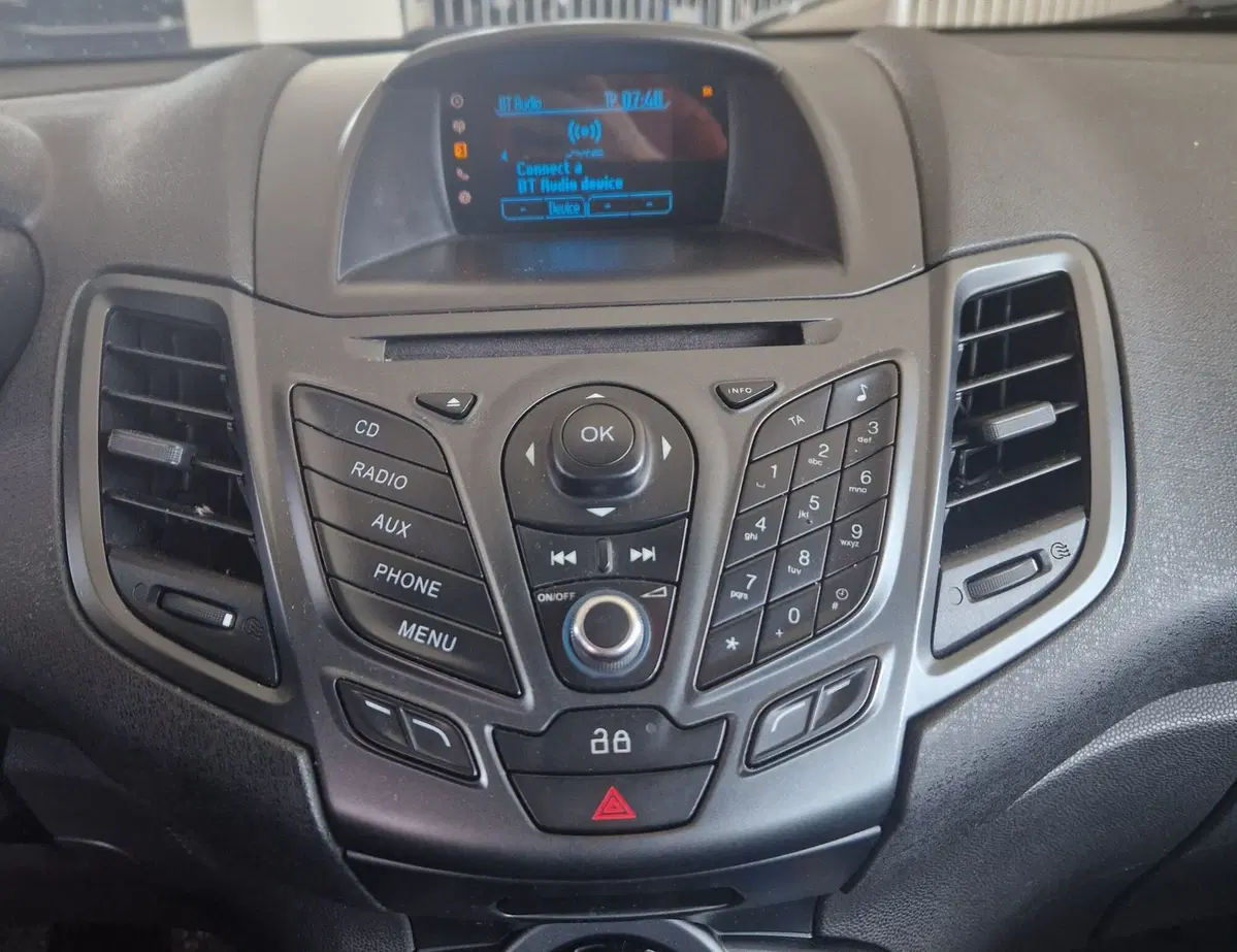 Ford Fiesta usata a Terni (14)