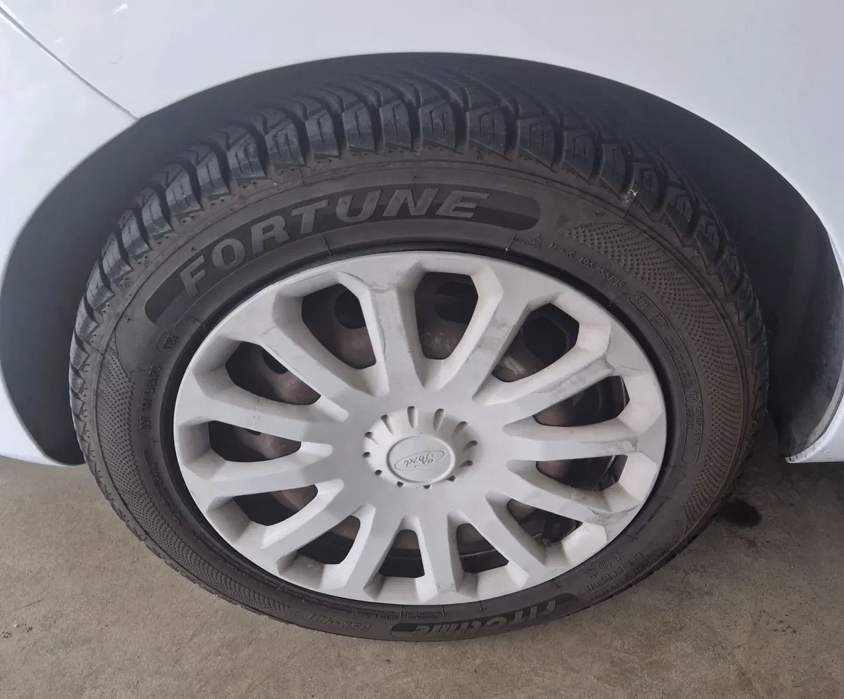 Ford Fiesta usata a Terni (16)