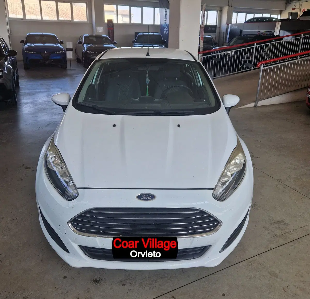 Ford Fiesta usata a Terni (2)