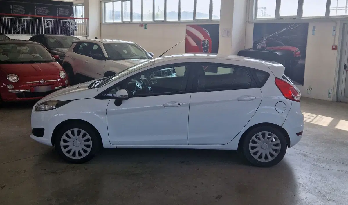 Ford Fiesta usata a Terni (3)