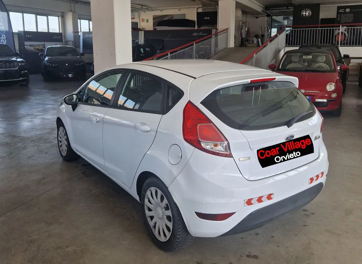 Ford Fiesta usata a Terni (4)