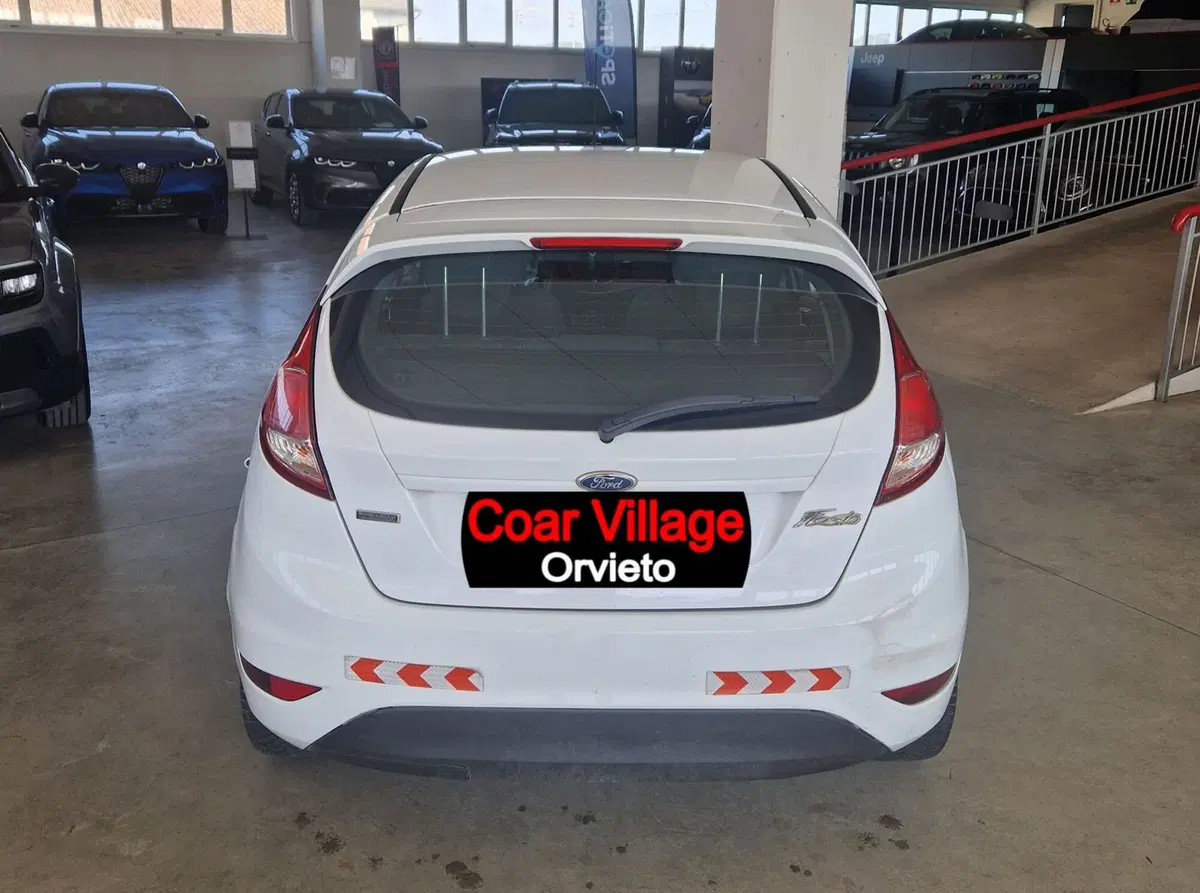 Ford Fiesta usata a Terni (5)