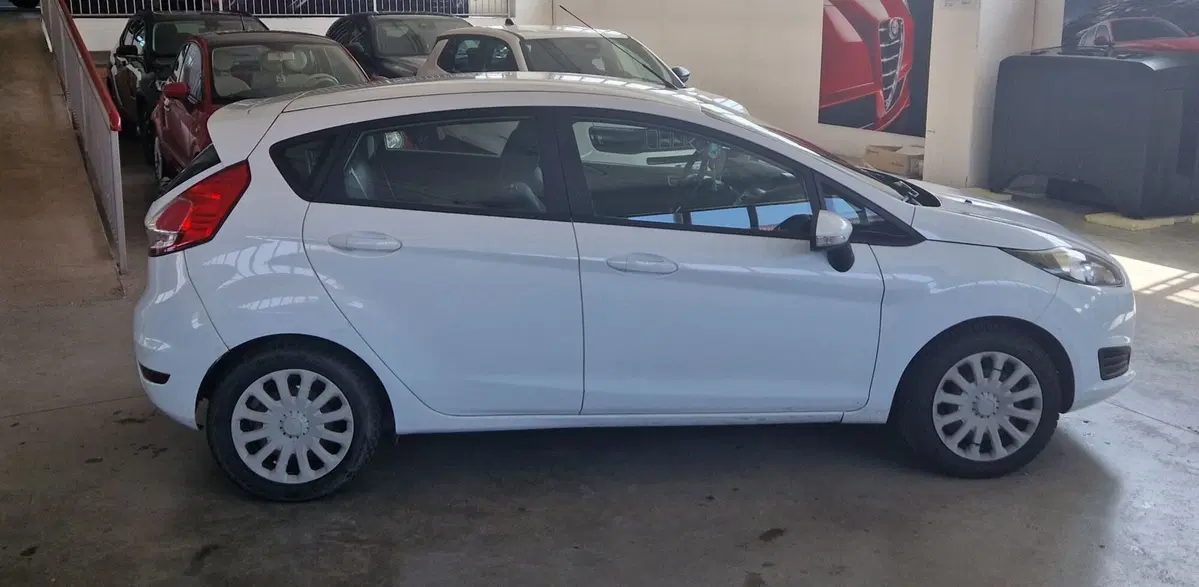 Ford Fiesta usata a Terni (6)