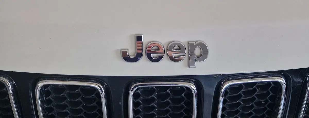 Jeep Compass usata a Terni (20)